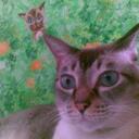 Bee Ong - @mettKatt - Twitter