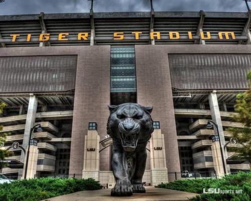LSU_UPDATES's profile picture. the best LSU football updates ever!