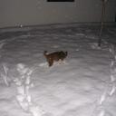 Brian Free - @bfree74 - Twitter