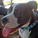 Shawn Keating - @Skeat71 - Twitter