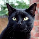 Al Duncan - @duncan_al - Twitter