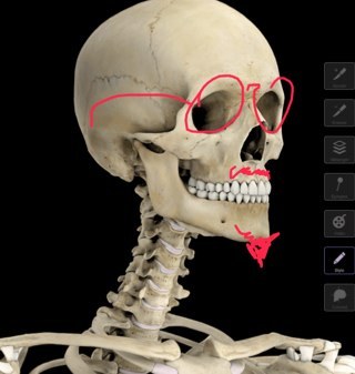 MullerGaetan's profile picture. 