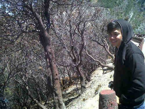 yoridevolo's profile picture. Pin:2A268099 selalu mencoba yang lebih baru