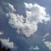 haruka yamazaki (@korat1217) 's Twitter Profile
