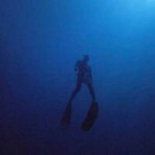 Thetisson's profile picture. Fried chicken and donuts. And the NY Football Giants.