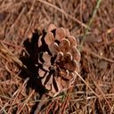 William Golder - @GolderG880 - Twitter