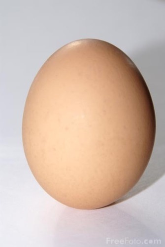 im an egg