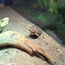 kyle michaud  - @kyle_michaud - Twitter