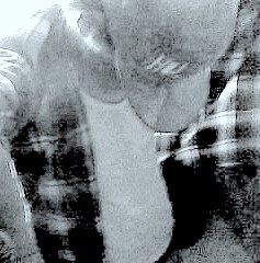 Dono- @akele_novinho  Seguem meu TT de Fases @fraseesderap