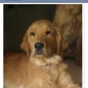 superdagor - @laura_jauregui - Twitter