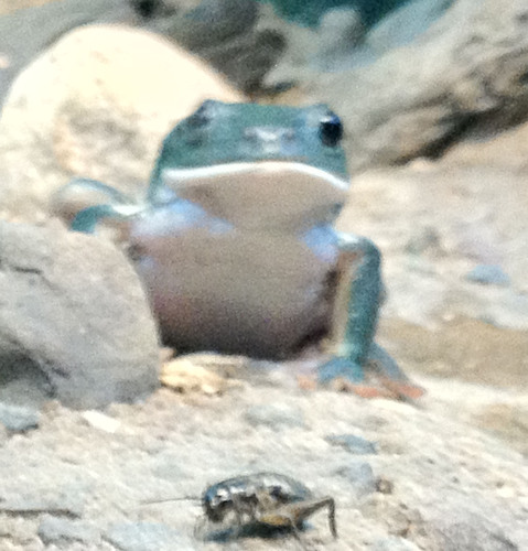 NCchristi's profile picture. Science educator