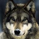 Jack Deng - @iFrency - Twitter