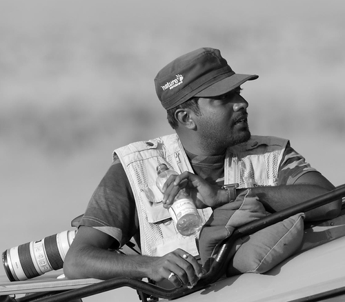 Wildlife Photographer