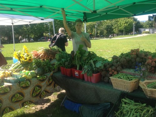 crane_aa's profile picture. Got gender trouble in loads