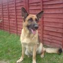 Lauren Lisa Raine - @raine_lauren - Twitter