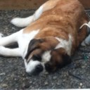 Kirk Dodge - @KirkDodge - Twitter