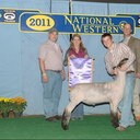 dan willoughby - @willoughby_dan - Twitter