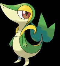 Snivy grass type. Level 29. Knows Tackle, Leaf Blade, Leaf Tornado, and Attract. Wild and free! #Rp #Pokemon (+18)