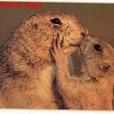 Barbara Lyle - @strawberywine01 - Twitter