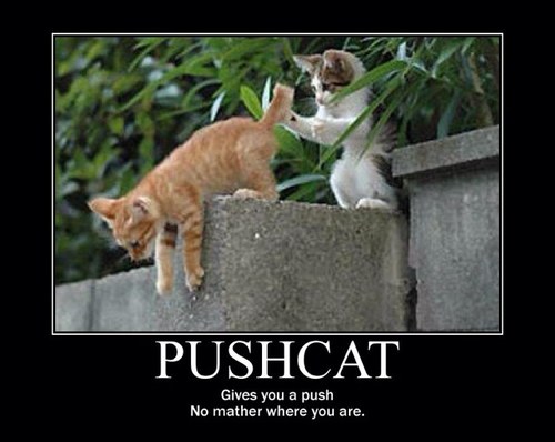 Klaassaraptor's profile picture. 