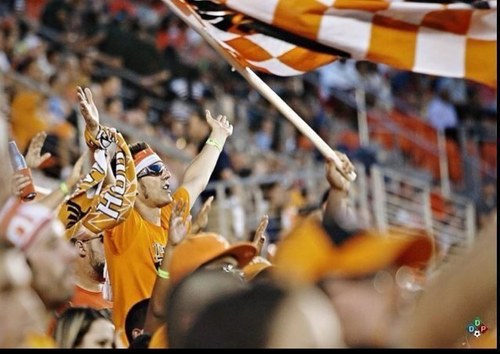 daledynamo's profile picture. 