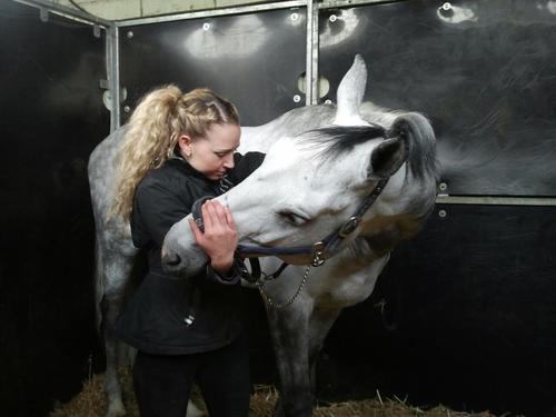 I am an equine osteopathic, sports massage and craniosacral therapist working between the UK, Europe and the Middle East.