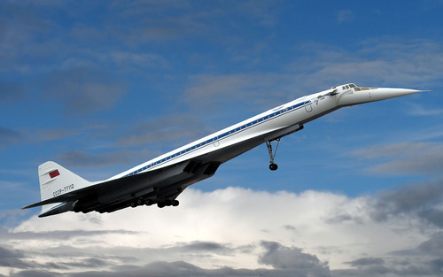 zuenikita's profile picture. 