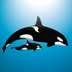 I'm a list of whales, that run on iOS devices :) You can find me here: http://t.co/lS2wW2g8vh