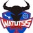 torowatutsi's profile image