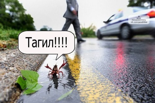 sabazi_AR's profile picture. Характер скверный,зануда,ворчлив,нелюблю говорить правду,хитрый,ленивый.А,и еще скромный.