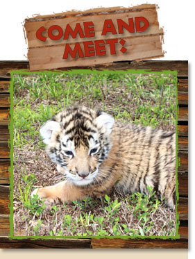 zoo_tastic's profile picture. We are a privately owened and operated Zoo located in Troutman, NC. We are the 7th most educated Zoo in the Nation and love to work with Kids/Adults of all ages