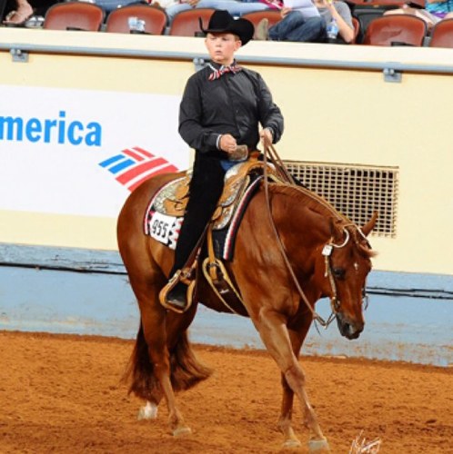 josh_1123's profile picture. Congress champion, and i love sports