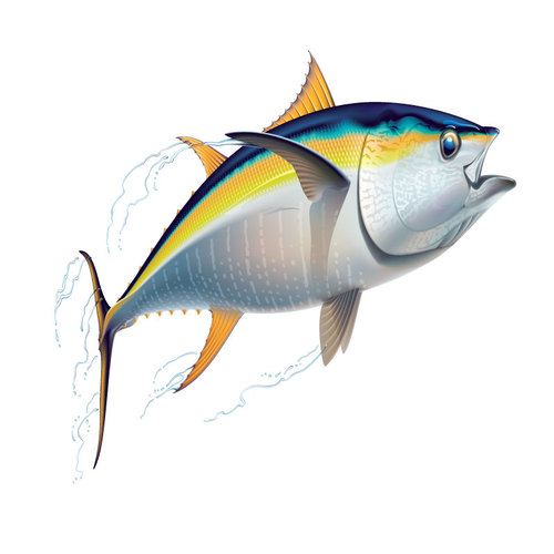 DamianVenn's profile picture. Fish Down Under is the magazine for any angler that wants to catch more fish and gain an edge!