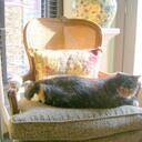 Patty Neff - @PattyNeff - Twitter