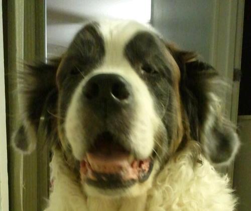 sherrimathias's profile picture. I'm a somewhat disorganized collection of atoms!