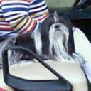 ann strong - @annstrong8 - Twitter