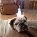 debbie file - @DebbiePageF - Twitter