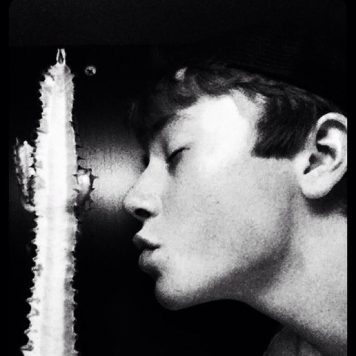 willcoke13's profile picture. 