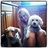 BridgetWorth's profile image