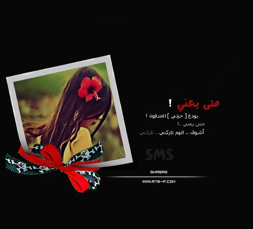 أديب وشاعر
