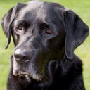 olivia leroy - @leroy_olivia - Twitter