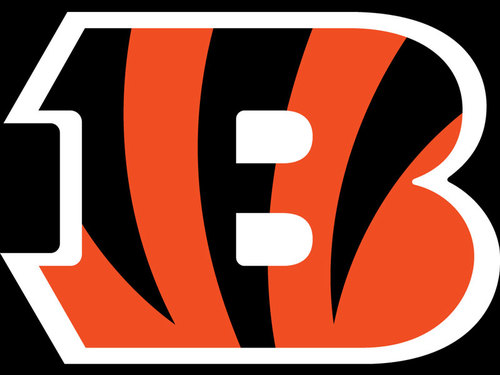 Huge Bengals fan