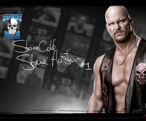 LittleBroksi42's profile picture. i am ty quintero im 11 years old i collect any wrestling stuff i can i collect wwe magazes figurs cards and im a huge stone cold fan