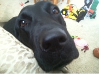 robcmclean's profile picture. 