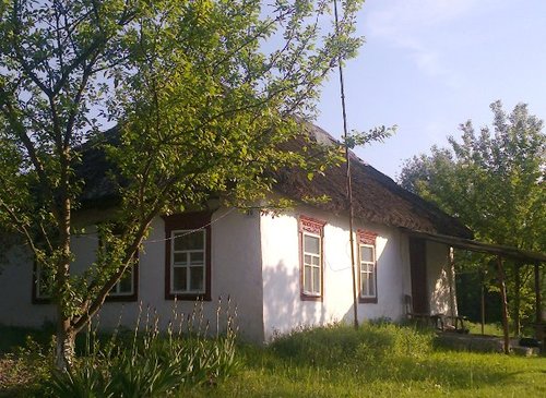 .Свой дом, огород,цветник,рецепты, приусадебное хозяйство. Взаимный фалловинг - и ТОЛЬКО взаимный! FOLLOWBACK ! #garden #цветы #Дача #followback #rufollowback