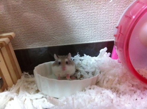 kouheiwonder's profile picture. 資格勉強しながら日々の出会いの大切さを感じるサラリーマン(^^)気軽に話しかけてください？！