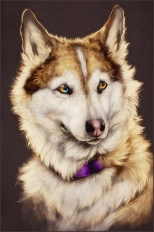 socoool111's profile picture. yoooooooo