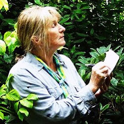 The never-ending story of a one-woman country garden in New Zealand and its long-lived, frost-hardy, perennial Head Gardener http://t.co/CNF1arMfDy