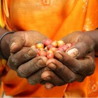LEAD Uganda (@leadug) 's Twitter Profile
