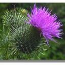 David  McInally - @weementor - Twitter